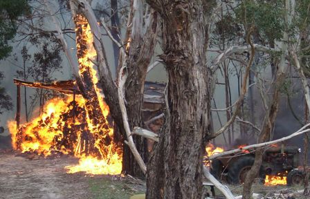 A shed full of firewood and a sawbench tractor go up in flames on the Walker property.