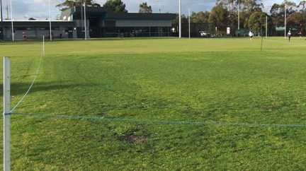 The turf table at Ormond Park has some excellent grass cover. 