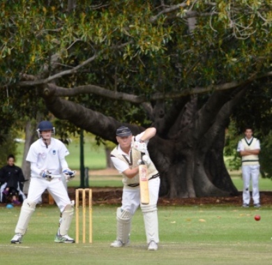 Skipper Darren "Spud" Nagle was a rock with the bat amid the backdrop of the spreading trees at Fawkner Park, and was unbeaten at the end of our innings.